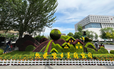 五色草立体花坛